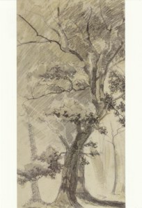 Blau Tina; Trees , c.1875