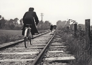Dalain Yvan; Provence , ca. 1955