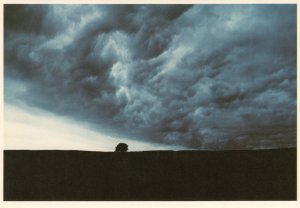 Dressler Fritz; Baum und Landschaft
