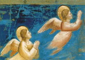 Giotto di Bondone; Engel (Ausschnitt aus "Christi Geburt") , um 1303/05