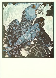 Jungnickel Ludwig Heinrich; Two blue Macaws - 1914