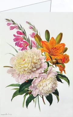 Knip Henriette Gertruide; Gladiolen, Pfingstrosen und Lilien