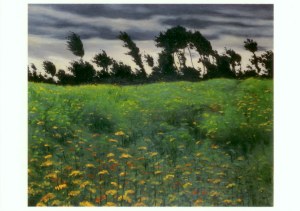 Vallotton Felix; Blühendes Feld , 1912