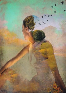 Welz-Stein Catrin; Sommertraum , 2012