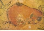 Altamira-Höhlen; Liegender Wisent