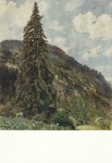 Alt Rudolph von; Die große Fichte in Gastein , 1899