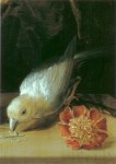Angermayer Johann Adalbert ; Blumenstrauss mit Tieren (Detail) , 1704