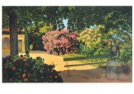 Bazille Frederic; The Oleander (Terrasse at Méric) , 1867