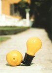 Beuys Joseph; Capri-Batterie , 1985
