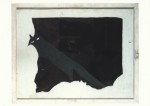 Beuys Joseph; Der Fuchs , 1960