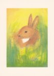 Bühler Elke; Hase im Gras