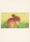 Bühler Elke; Kleiner Hase