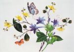 Chinesisch ; Blumenstudie und Insekten , 19.Jhdt.