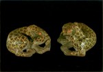 Chinesisch ; Liegende Leoparden