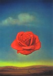 Dali Salvador; Meditative Rose , 1958