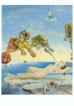 Dali Salvador; Durch den Flug einer Biene verursachter Traum
