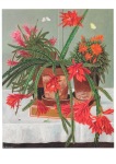Dietrich Adolf; Kakteen mit Heuschrecke , 1943