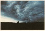 Dressler Fritz; Baum und Landschaft