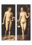 Dürer Albrecht; Adam und Eva , 1507