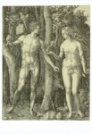 Dürer Albrecht; Adam und Eva , 1504