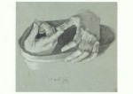 Duerer Albert; The Hands of Twelve Years old Jesus Christ , 1506
