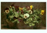 Fantin-Latour Henri; Stiefmütterchen , 1892