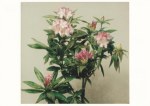 Fantin-Latour Henri; Blühender Rhododendronzweig , 1874