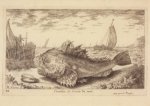 Flamen Albert; Cuculus , 1664