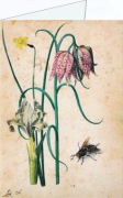 Flegel Georg; Iris, Narcisse, Schachbrettblume
