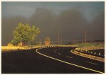 Frerk Peter; Baum und Autobahn
