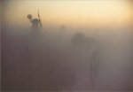 Frerk Peter; Mühle und Nebel
