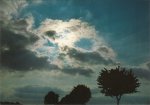 Frerk Peter; Wolke und Bäume