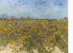 Gogh Vincent van - van Gogh; Der Weingarten