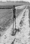 Giacometti Alberto; Schreitender Mann , 1960