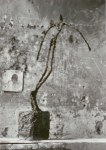 Giacometti Alberto; Taumelnder Mann , 1950