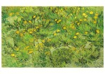 Gogh Vincent van - van Gogh; Feld mit gelben Blümchen , 1889