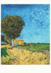 Gogh Vincent van - van Gogh; Allee bei Arles , 1888