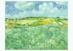 Gogh Vincent van - van Gogh; Die Ebene bei Auvers , 1890