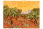 Gogh Vincent van - van Gogh; Olive Trees , 1889