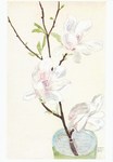 Heckel Erich; Magnolienzweig - 1939