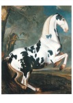 Hamilton Johann Georg von ; Portrait of a Dappled Horse from the Stud at Eisgrub performing the Levade , c. 1700