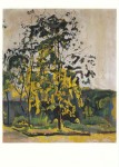 Hodler Ferdinand; Bäume im Ateliergarten , 1917