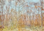 Hodler Ferdinand; Beech-Forest , 1885