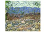 Hodler Ferdinand; Creek near Leissigen , 1904