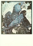 Jungnickel Ludwig Heinrich; Zwei blaue Ara - 1914