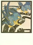 Jungnickel Ludwig Heinrich; Drei blaue Ara - 1909