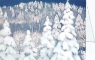 Kaii Higashiyama; Winterwald , 1964