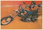 Kennel Maurice; American Dreams - Easy Rider