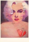 Kennel Maurice; American Dreams - Marilyn