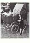 Kirchgraber Bruno; "Meine Tochter erhält Besuch" , 1958